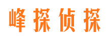 平阳侦探公司